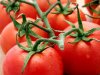 Truss Tomatoes