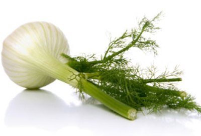 Baby Fennel